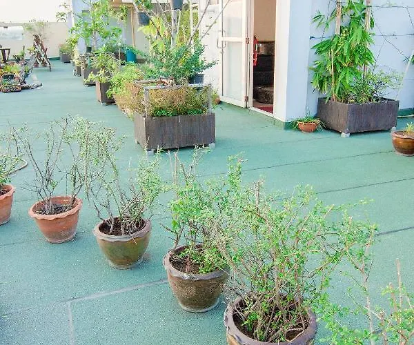 Hotel Gems Park Don Mueang Airport And Bts 3*